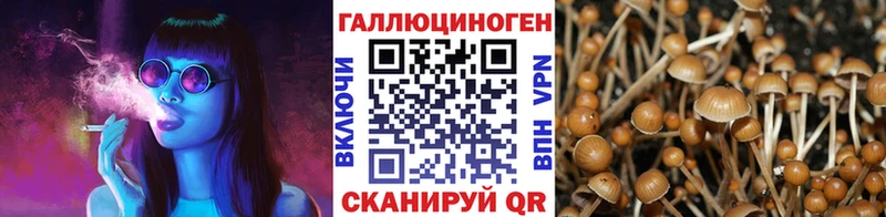 Купить закладки Енисейск Псилоцибиновые грибы Cubensis